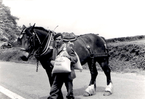 Picture of Colin Langridge at Briddlesford Farm 1948