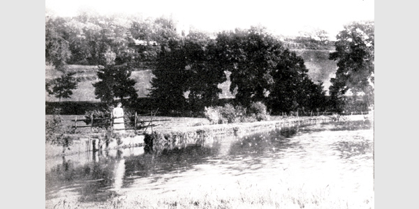 Lukely Brook