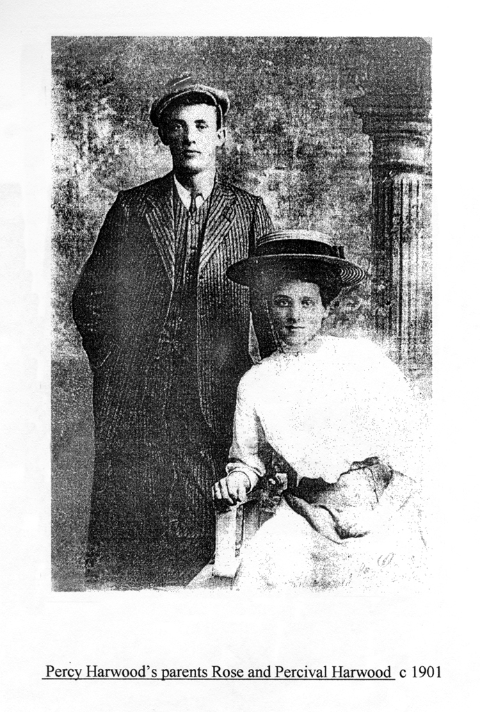 Picture of my parents