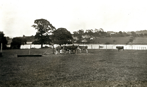 Picture of Looking toward Ferhhill 1910