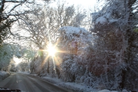 Picture of a view snow weather