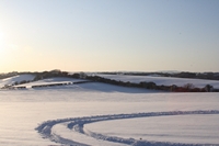 Picture of a view snow weather
