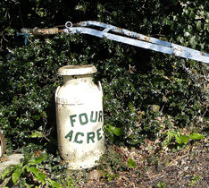 Picture of old milk churn