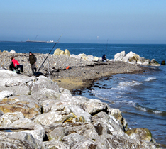 Picture of coastline