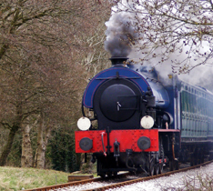 Picture of Steam Railway