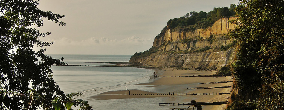 Picture of Luccombe