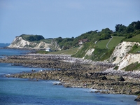 Picture of 