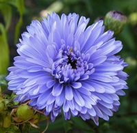 Picture of 