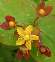 Picture of 