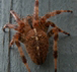 Picture of 