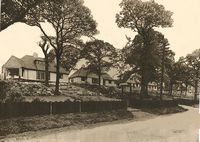 Picture of Spreets Copse [New Road] circa 1930