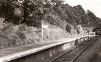 Picture of Wootton Station 1950s