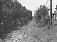 Picture of Whippingham Station June 1975