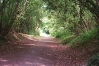 Picture of The end of the railway, a cycle path circa 1990