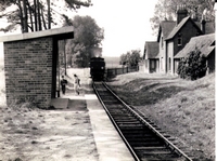 Picture of Ashey Station [date unknown]