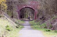 Picture of Old Railway Bridge