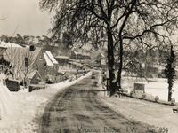 Picture of A pretty picture 1954