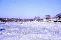 Picture of Creek frozen 1963 [Ivor White]