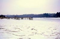 Picture of Creek frozen at Fishbourne 1963 [Ivor White]