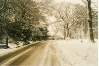 Picture of Station Road Jan 1985 [Roland Richards coll]