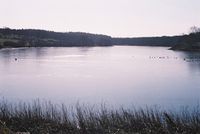 Picture of Millpond frozen 2005