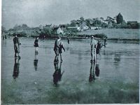 Picture of Millpond frozen circa 1954