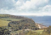 Picture of Luccombe Beach and Village