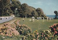 Picture of Flowers Brook nr. Ventnor